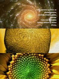 Un lenguaje antiguo, invisible y constante. La geometría sagrada parte de la idea de que nada existe al azar. Desde una flor hasta una galaxia, la vida responde a patrones geométricos que