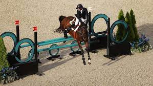 Fouaad mirza is an indian equestrian who won silver medals in both the individual eventing and the team eventing at the 2018 asian games. Dmg6weelvgikdm