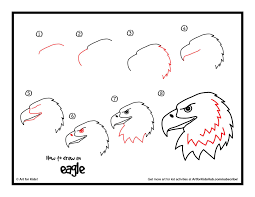 How To Draw A Realistic Bald Eagle Head Art For Kids Hub Eagle Drawing Eagle Art Art For Kids Hub