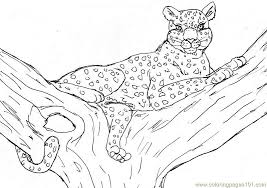 We did not find results for: Leopard Coloring Page For Kids Free Cheetah Printable Coloring Pages Online For Kids Coloringpages101 Com Coloring Pages For Kids