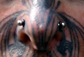 Due to this unique location and the thickness of this area of the nose, it can be a more complicated piercing. Nasallang Wikipedia