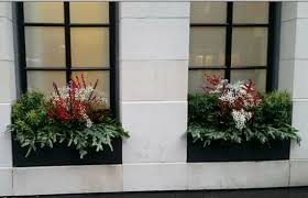 Winter box on sale now, shipping soon. Seasonal Garden Designs Holiday Decorating Christmas Tree Delivery