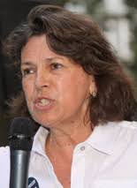 Three contenders vie for mayor in Summit