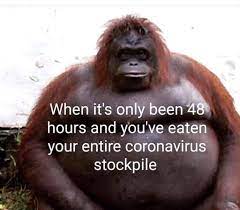 We have made it extremely hard to keep a straight face on this website. 35 Funny Coronavirus Memes To Lighten The Mood Honeycombers Bali