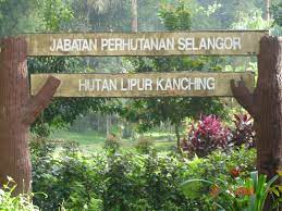 Download film lebih gampang di dutafilm. Keluasan Hutan Simpan Kekal Meningkat Kepada 33 Peratus Selangorkini