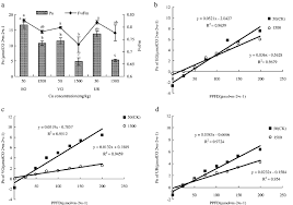Image result for Phacelurus gabonensis