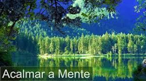 Find top songs and albums by musica relaxante including tratamento espiritual, acalmar a mente and more. Acalmar A Mente Inquieta Musica Relaxante Para Tranquilizar Pensamentos Acelerados Descontrair Youtube