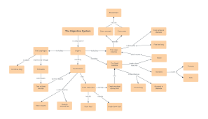 Concept Map Templates And Examples Lucidchart Blog