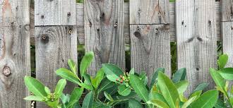 Contents gorgeous wood fence designs decorative wooden fence impressive metal fence designs. Wooden Garden Fencing Ideas Panels Panel Tops Posts