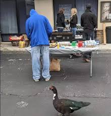 Why Did Shuli Egar Leave The Howard Stern Show? | The Us Sun