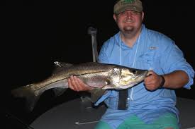 Bridges can also be a. A Little Snookie At Night Dock Fishing For Snook Man Can Outdoors