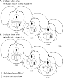 Check spelling or type a new query. Hypocretin Orexin Receptor Subtypes Differentially Enhance Acetylcholine Release And Activate G Protein Subtypes In Rat Pontine Reticular Formation Journal Of Pharmacology And Experimental Therapeutics