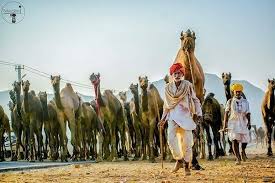 Rajsthan is the north western state of india, which shares border to pakistan. Which Annual Fair In Rajasthan Is Famous For Its Camel Trading Quora