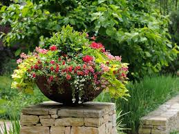 The Simple Formula For A Beautiful Container Garden Garden Containers Container Gardening Plants
