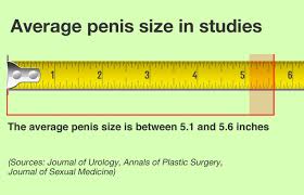 Besides the natural variability of human penises in general. What Is The Average Penis Size During 11 To 18 Years Old Age