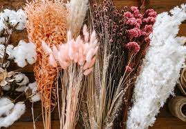 We did not find results for: A Guide To Dried Flowers Where To Shop Collective Gen