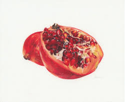 Jessie Babin Pomegranate Art School Art Projects Color Pencil Drawing