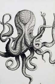 55 Eye Catching Octopus Tattoos Ideas For Men And Women Octopus Tattoo Design Octopus Drawing Octopus Tattoos