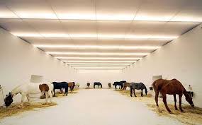 Arte Povera Kounellis Chevaux 1969 Contemporary Art Installation Installation Street Art Installation Art
