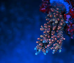 But in order for \acro@used@twice to work properly, @ would have to be a letter character. My Acro Collection Page 3 Reef2reef Saltwater And Reef Aquarium Forum