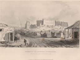 History of Darwin Online