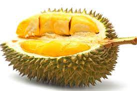 Daftar isi menggugurkan kandungan dengan sprite dan bodrex cara menggugurkan kandungan yang aman.menggugurkan kandungan dengan obat obatan yang telah direkomendasikan oleh fda. Benarkah Durian Dapat Menggugurkan Kandungan Bestmom Id Info Kehamilan Melahirkan Parenting