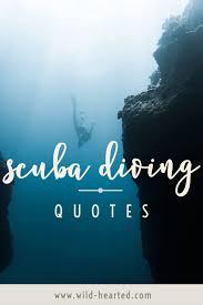Write them out, post them in your bathroom, hide a few in your gym bag, or just keep them in your head as a mantra. 90 Scuba Diving Quotes That Put Your Love Of The Ocean Into Words