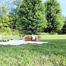 Irma Mckinney, Officiant (@findingforever440) • Instagram photos and videos