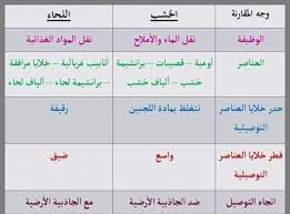 النقل فى النبات Transport In Plant