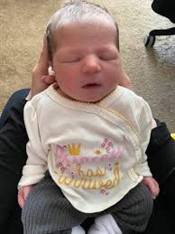 Our First Rose 🌹 Shirley Stelfox