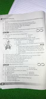 Dalam bahasa inggris, beberapa kata tanya yang biasa digunakan dalam bahasa inggris antara lain: Tolong Dijawab Ya Kak Ini Pelajaran Kelas 5 Yang Ipa Brainly Co Id
