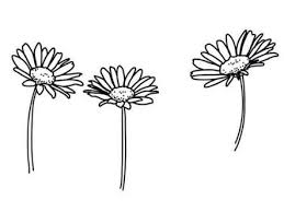 Image Result For Tumblr Transparents Black And White Flowers Black And White Stickers Black And White Flowers Black And White Doodle