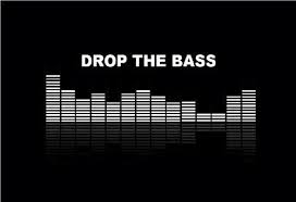 Drop The Bass Bass Drop Play That Funky Music Electro Music