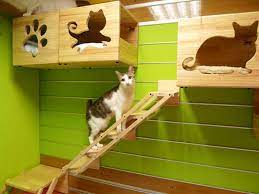 บ านแมวไอเด ยน สำหร บคนร กส ตว รวมข าวสำหร บแมวเท าน นท ม ในโลก ห องแมว แต งบ าน แมว