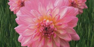 La grande foire à tout d'evreux avec ses 400 exposants a quant à elle lieu le premier dimanche du mois de septembre. Fetes Des Plantes Et Jardins Eure 27 Binette Jardin