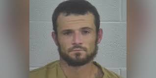 Man accused of running from deputies, then asking for help when he got lost  in the woods