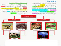 جدول خصائص الممالك الست و بعض المطويات المتعلقة بها