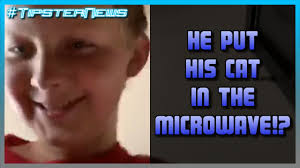 Kid Banned From Twitch For Putting A Cat In The Microwave Youtube