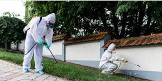 Pest control,innovative items,insect repeller,insect killer,seating cushion,lighting,health care home products,pest repellents. Best Pest Control Services 2020 Fumigation Termite Control Experts In Hong Kong Toby