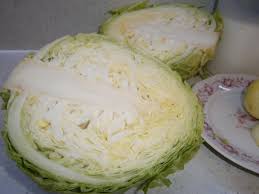 Image result for hlávková kapusta