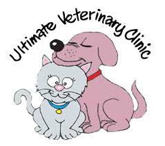 The welfare of our patients is and always will be our priority. Ultimate Veterinary Clinic Vic Narre Warren South Veterinary Surgeon