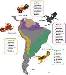 Lembranças que o tempo não apaga tamanho: Venom Diversity In The Neotropical Scorpion Genus Tityus Implications For Antivenom Design Emerging From Molecular And Immunochemical Analyses Across Endemic Areas Of Scorpionism Sciencedirect