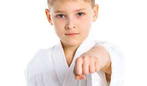 Northeastern Martial Arts