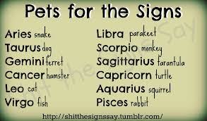 So who the cancer/leo personality: Quotes About Cancer And Leo Quotesgram