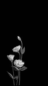 Gesti Gentili Espressioni D Affetto E Parole D Amore Sono Come Candidi Fiori Che Black Background Wallpaper Dark Wallpaper Iphone Black Aesthetic Wallpaper