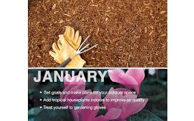 Create an evergreen chandelier for your holiday table using trimmings from your yard * the garden club text program is one of several text alert programs that the home depot may conduct from time to time. Plan The Year With The Home Depot Garden Club Calendar The Home Depot