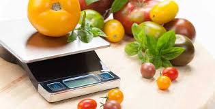best food scale reviews 2020: top 5+