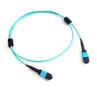 MTP® (MPO) 24 Fibre OM3 (50/125) Patch Cable | SR10 100G