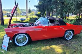 Image result for Torch Red 1955 Thunderbird