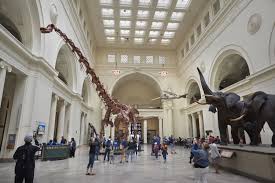 Under secretary for museums and culture. 13 Best Chicago Museums You Should Explore Today